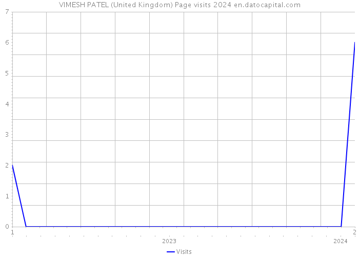 VIMESH PATEL (United Kingdom) Page visits 2024 