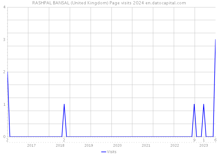 RASHPAL BANSAL (United Kingdom) Page visits 2024 