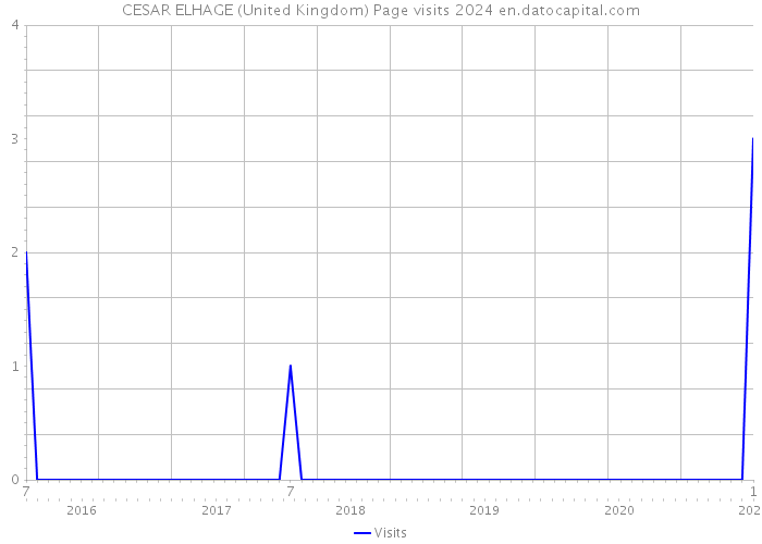 CESAR ELHAGE (United Kingdom) Page visits 2024 