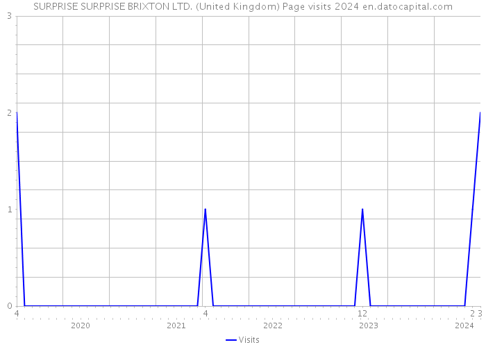 SURPRISE SURPRISE BRIXTON LTD. (United Kingdom) Page visits 2024 