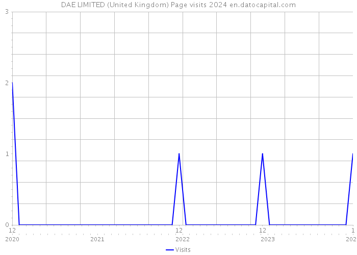 DAE LIMITED (United Kingdom) Page visits 2024 