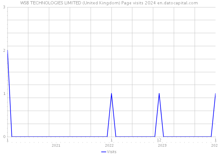 WSB TECHNOLOGIES LIMITED (United Kingdom) Page visits 2024 
