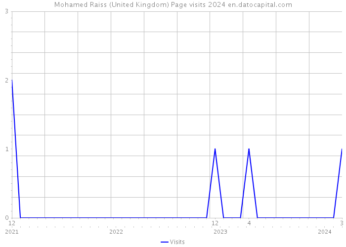 Mohamed Raiss (United Kingdom) Page visits 2024 