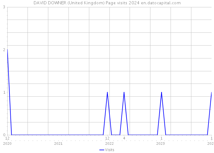 DAVID DOWNER (United Kingdom) Page visits 2024 