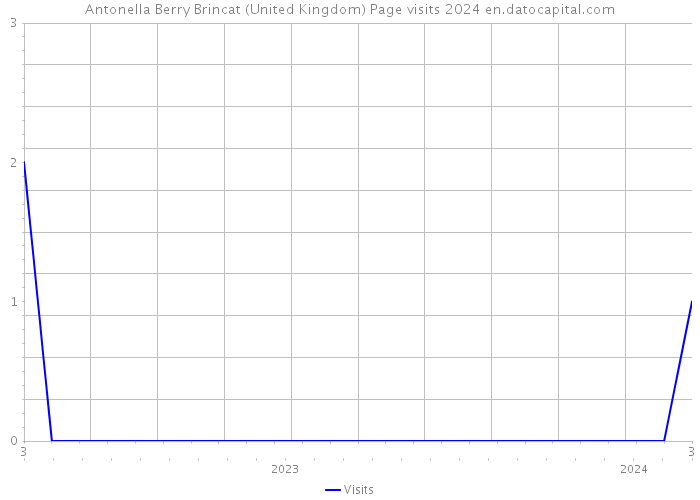 Antonella Berry Brincat (United Kingdom) Page visits 2024 