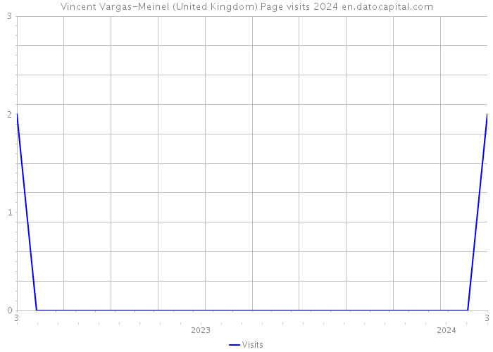 Vincent Vargas-Meinel (United Kingdom) Page visits 2024 