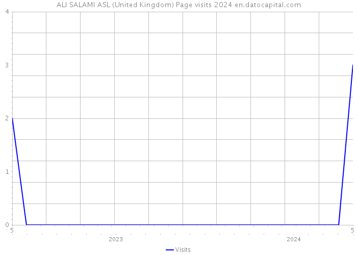 ALI SALAMI ASL (United Kingdom) Page visits 2024 