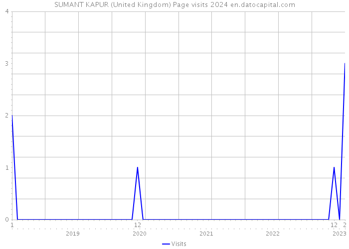 SUMANT KAPUR (United Kingdom) Page visits 2024 