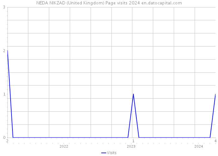 NEDA NIKZAD (United Kingdom) Page visits 2024 