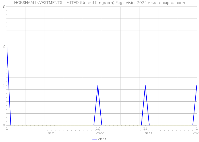 HORSHAM INVESTMENTS LIMITED (United Kingdom) Page visits 2024 