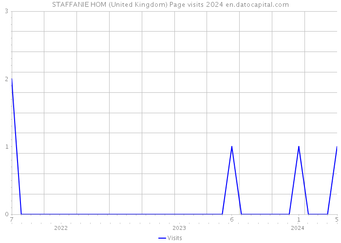 STAFFANIE HOM (United Kingdom) Page visits 2024 