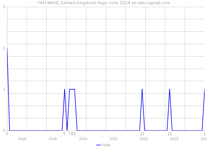 YAN WANG (United Kingdom) Page visits 2024 