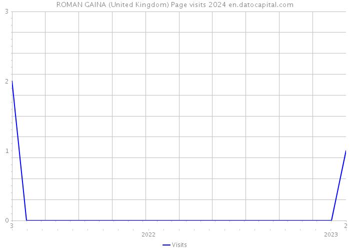 ROMAN GAINA (United Kingdom) Page visits 2024 
