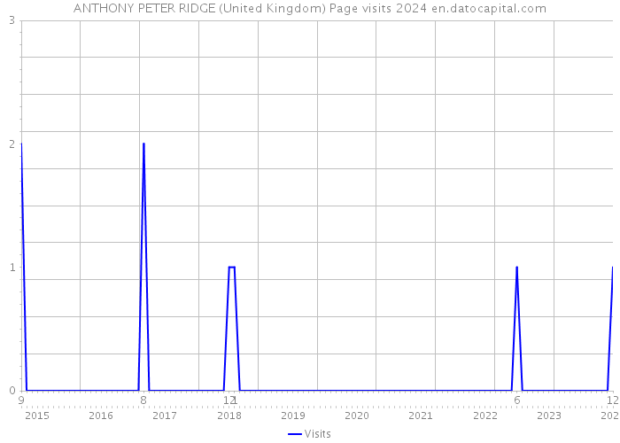 ANTHONY PETER RIDGE (United Kingdom) Page visits 2024 