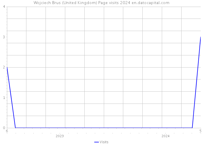 Wojciech Brus (United Kingdom) Page visits 2024 