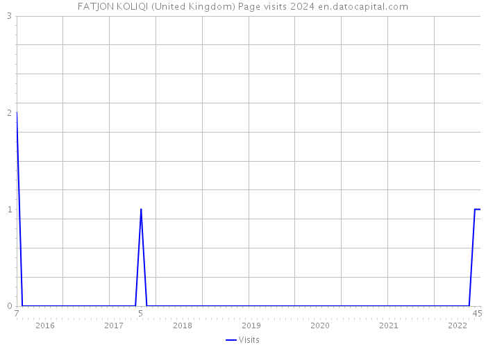 FATJON KOLIQI (United Kingdom) Page visits 2024 