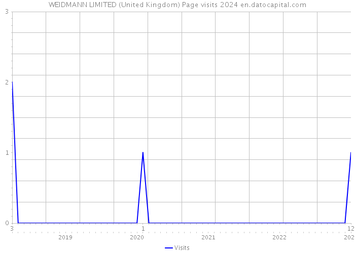 WEIDMANN LIMITED (United Kingdom) Page visits 2024 