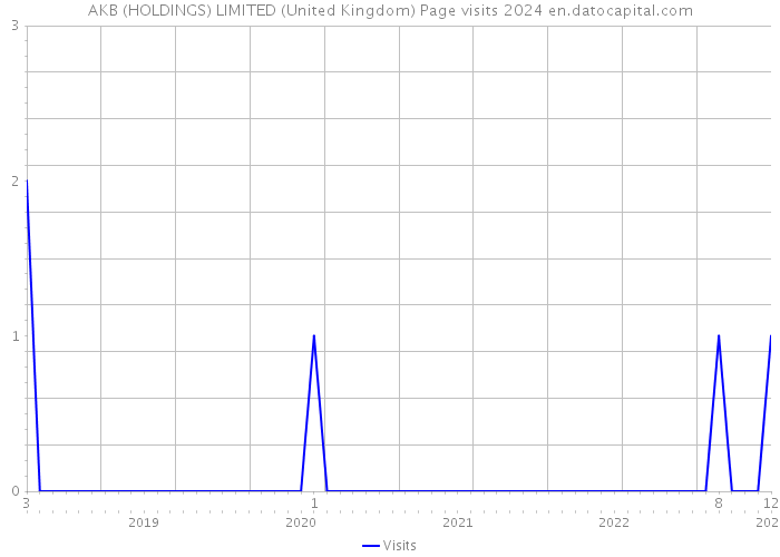 AKB (HOLDINGS) LIMITED (United Kingdom) Page visits 2024 