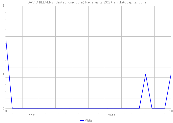 DAVID BEEVERS (United Kingdom) Page visits 2024 