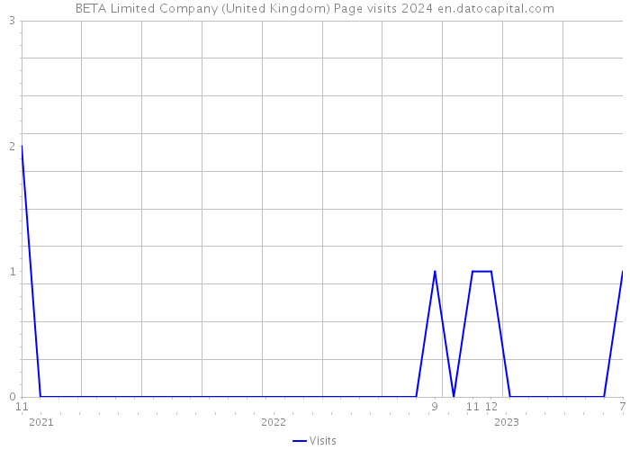BETA Limited Company (United Kingdom) Page visits 2024 
