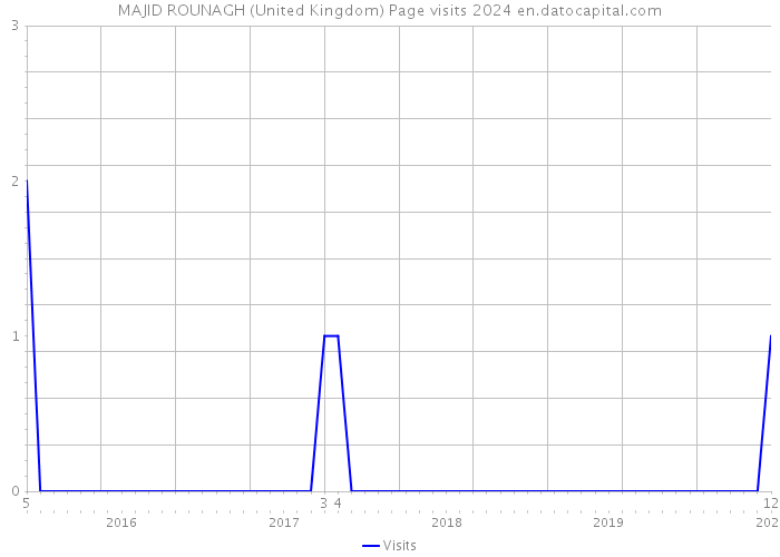 MAJID ROUNAGH (United Kingdom) Page visits 2024 