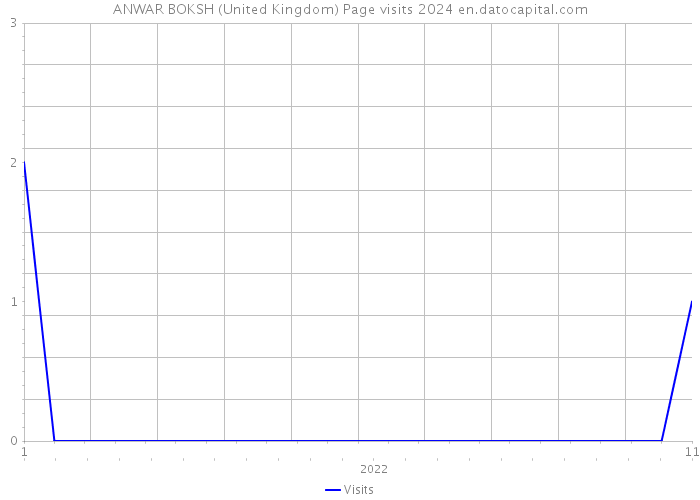 ANWAR BOKSH (United Kingdom) Page visits 2024 