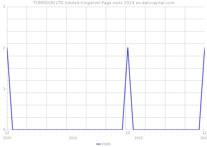 TORRIDON LTD (United Kingdom) Page visits 2024 