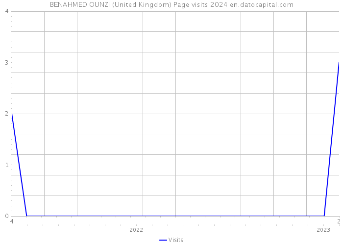 BENAHMED OUNZI (United Kingdom) Page visits 2024 