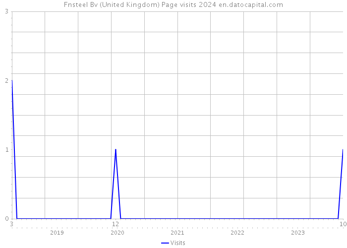 Fnsteel Bv (United Kingdom) Page visits 2024 