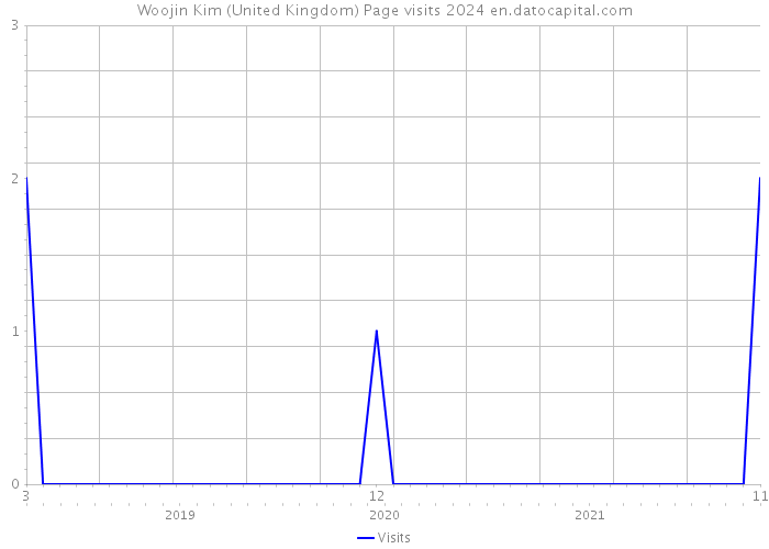 Woojin Kim (United Kingdom) Page visits 2024 
