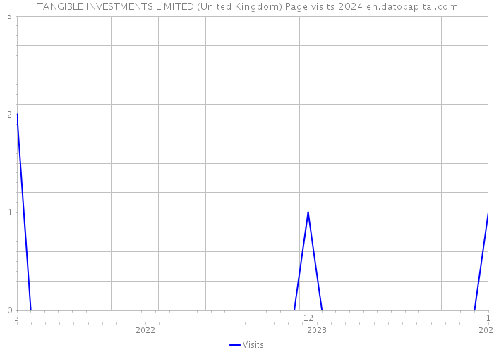 TANGIBLE INVESTMENTS LIMITED (United Kingdom) Page visits 2024 