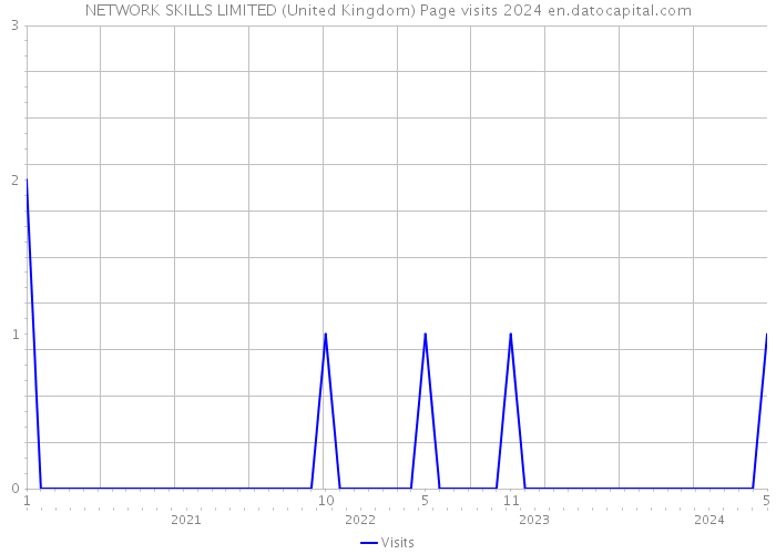 NETWORK SKILLS LIMITED (United Kingdom) Page visits 2024 