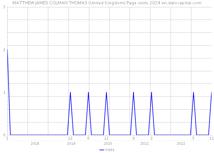 MATTHEW JAMES COLMAN THOMAS (United Kingdom) Page visits 2024 