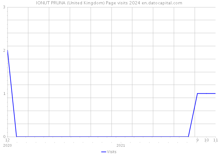 IONUT PRUNA (United Kingdom) Page visits 2024 