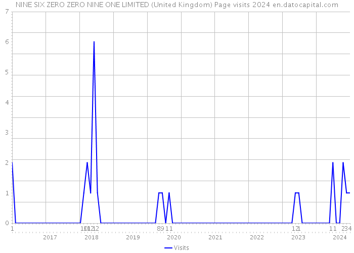 NINE SIX ZERO ZERO NINE ONE LIMITED (United Kingdom) Page visits 2024 