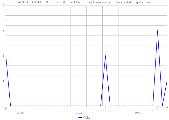 SASKIA SASKIA BODECHTEL (United Kingdom) Page visits 2024 