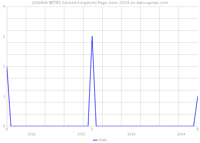 JOANNA BETES (United Kingdom) Page visits 2024 