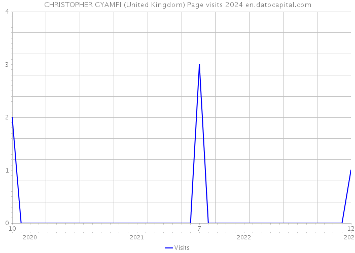 CHRISTOPHER GYAMFI (United Kingdom) Page visits 2024 