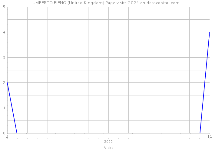 UMBERTO FIENO (United Kingdom) Page visits 2024 