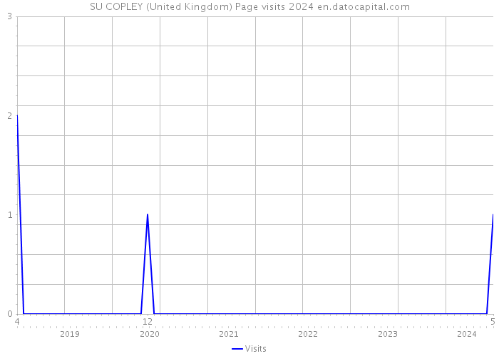 SU COPLEY (United Kingdom) Page visits 2024 