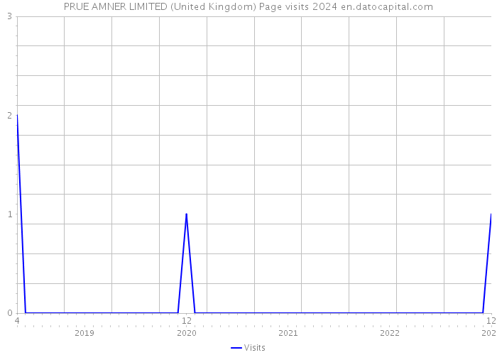 PRUE AMNER LIMITED (United Kingdom) Page visits 2024 