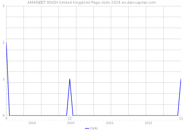 AMARJEET SINGH (United Kingdom) Page visits 2024 