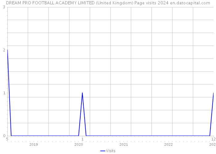 DREAM PRO FOOTBALL ACADEMY LIMITED (United Kingdom) Page visits 2024 