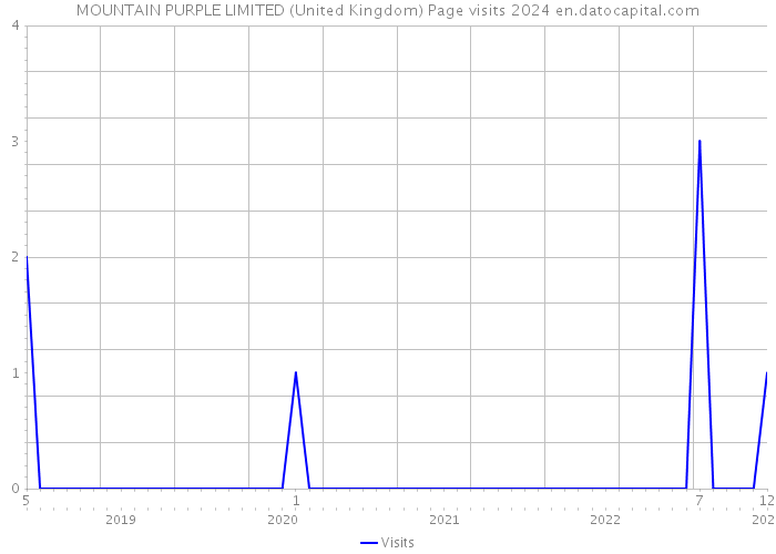 MOUNTAIN PURPLE LIMITED (United Kingdom) Page visits 2024 