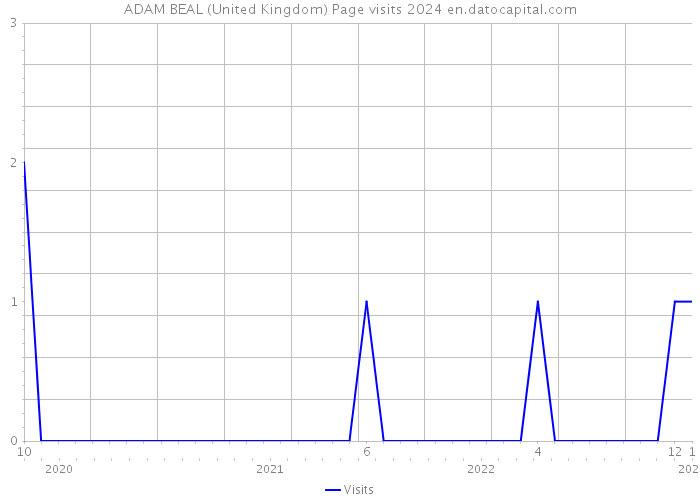 ADAM BEAL (United Kingdom) Page visits 2024 