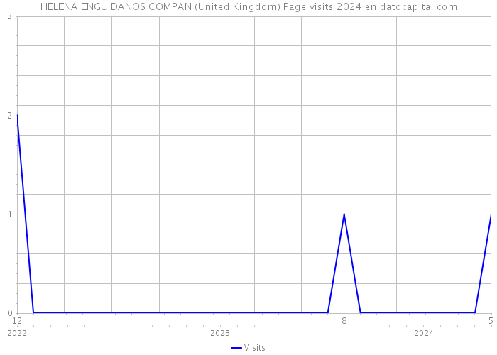 HELENA ENGUIDANOS COMPAN (United Kingdom) Page visits 2024 