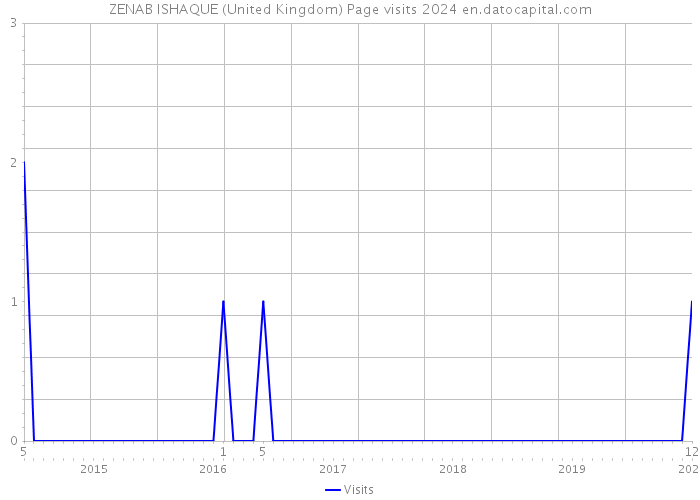 ZENAB ISHAQUE (United Kingdom) Page visits 2024 