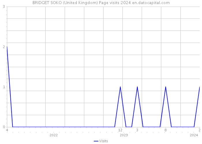 BRIDGET SOKO (United Kingdom) Page visits 2024 
