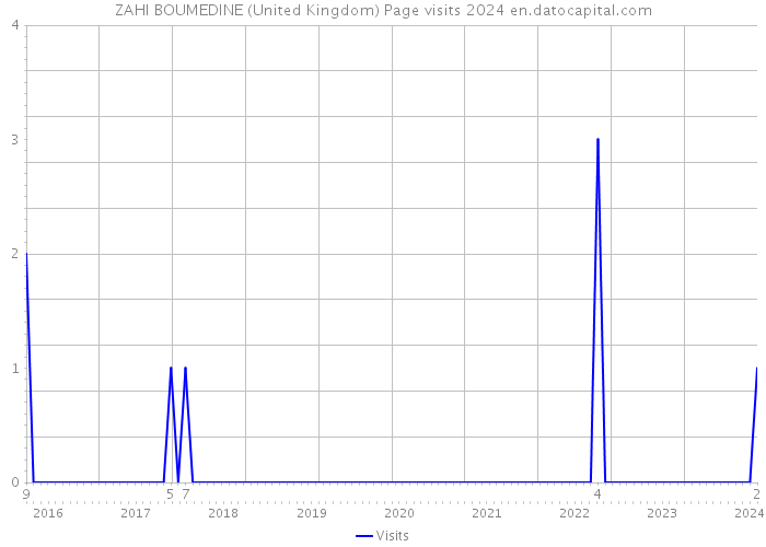 ZAHI BOUMEDINE (United Kingdom) Page visits 2024 