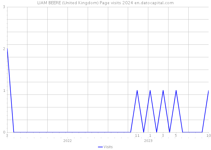 LIAM BEERE (United Kingdom) Page visits 2024 